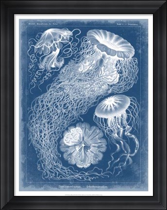 Framed Marine Blueprint II Print