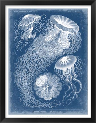 Framed Marine Blueprint II Print