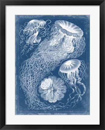 Framed Marine Blueprint II Print