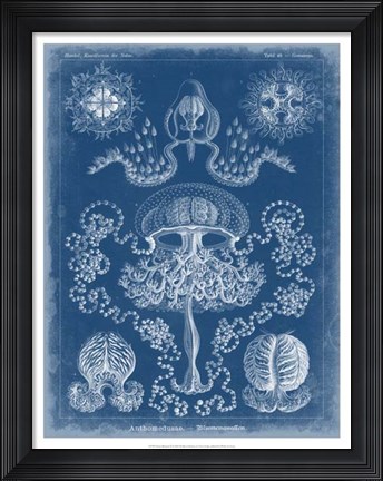 Framed Marine Blueprint IV Print