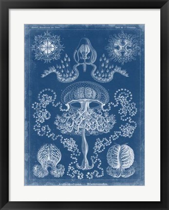 Framed Marine Blueprint IV Print