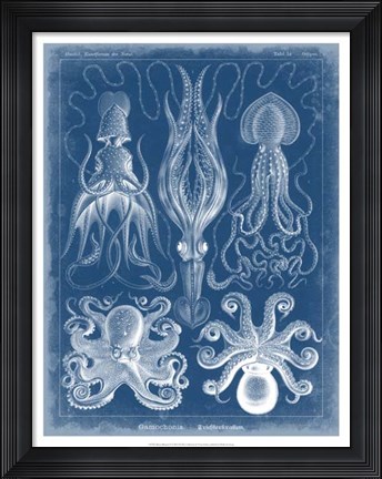 Framed Marine Blueprint V Print