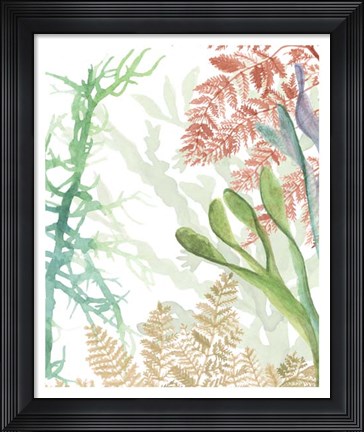 Framed Woven Seaplants I Print