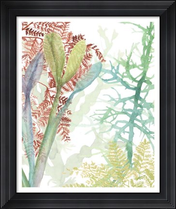 Framed Woven Seaplants II Print