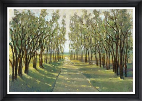 Framed Forest Path Print