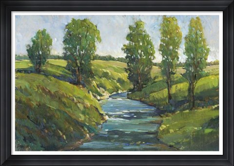 Framed Lush Landscape III Print
