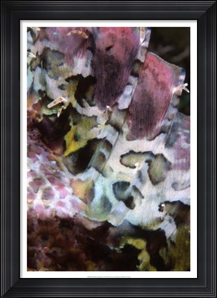 Framed Pink Marvel - Indonesia Print