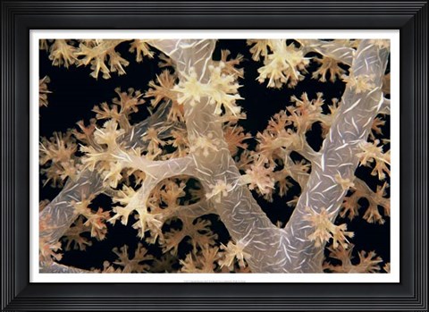 Framed Splendid Branches - Fiji Print