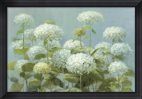 Framed White Hydrangea Garden Print