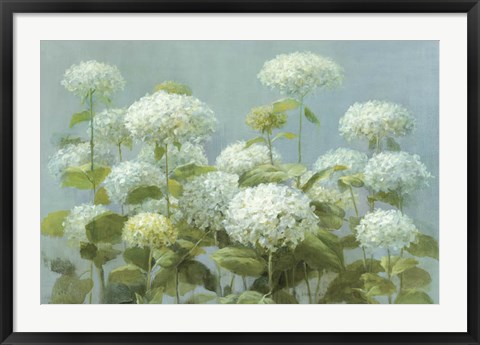 Framed White Hydrangea Garden Print