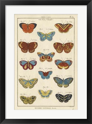 Framed Histoire Naturelle Butterflies I Print