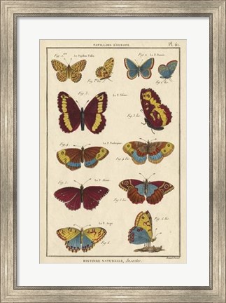 Framed Histoire Naturelle Butterflies IV Print