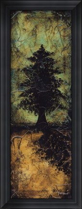 Framed Reflections and Shadows II Print