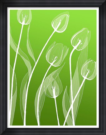 Framed Floral Silhouette 4 Print
