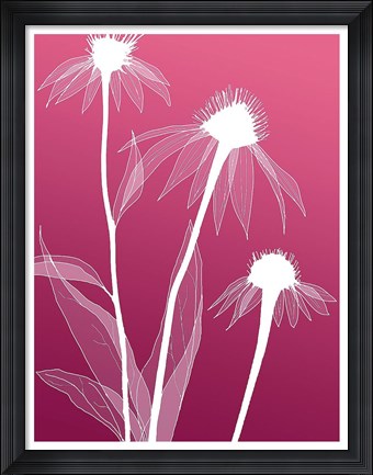 Framed Floral Silhouette 5 Print