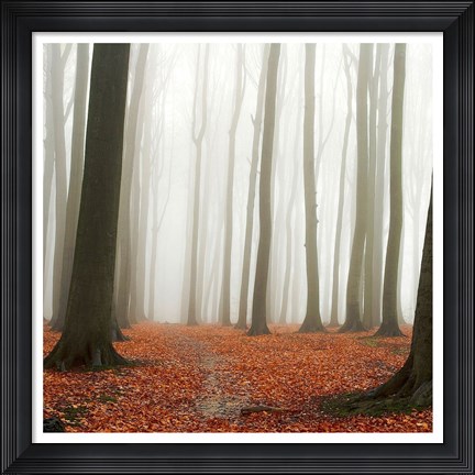 Framed Autumn Forest Floor Print