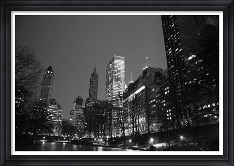 Framed Central Park View Print