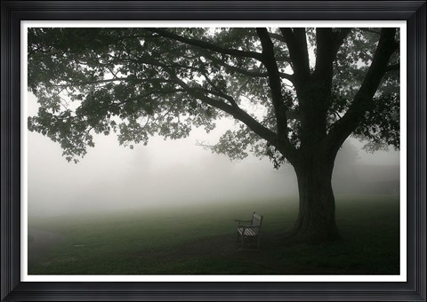 Framed Misty Bench Print