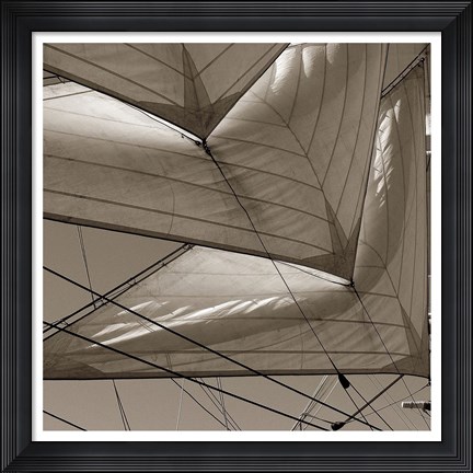 Framed Sails Print