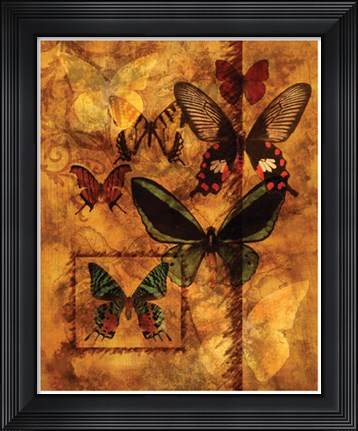 Framed Evocation Of Butterflies Print