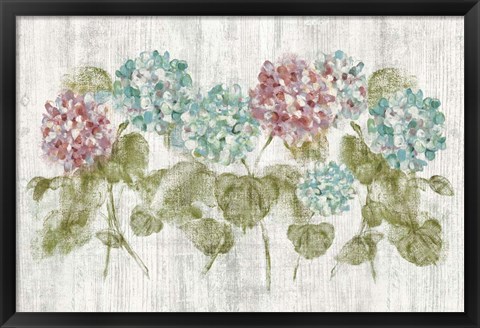 Framed Vibrant Row of Hydrangea on Wood Print