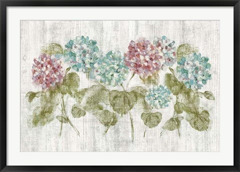 Framed Vibrant Row of Hydrangea on Wood Print