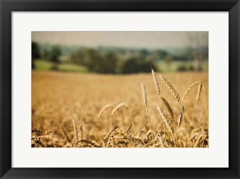 Framed Blissful Country I Print