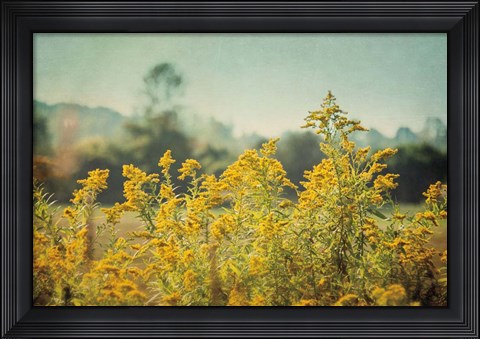 Framed Blissful Country IV Print