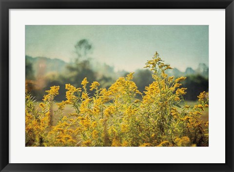 Framed Blissful Country IV Print