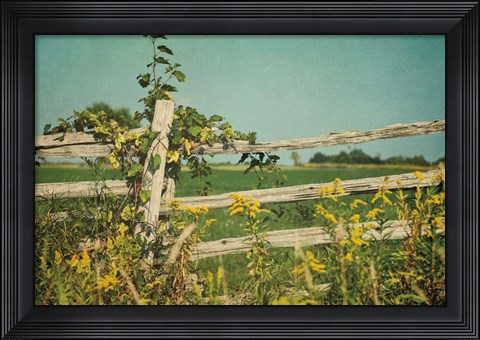 Framed Blissful Country V Print