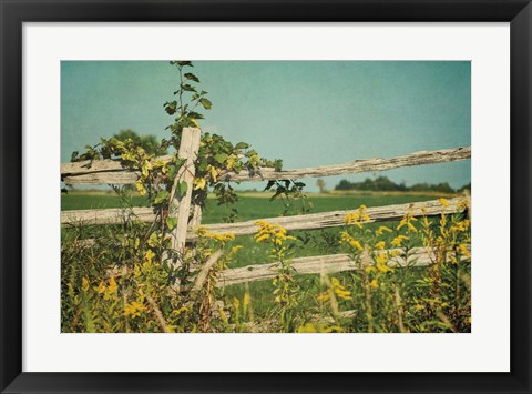 Framed Blissful Country V Print