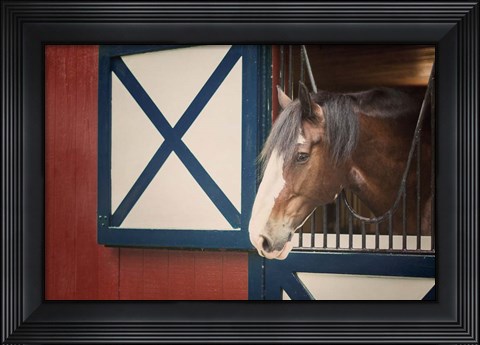 Framed Patriotic Pony I Print