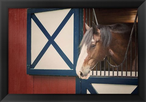 Framed Patriotic Pony I Print