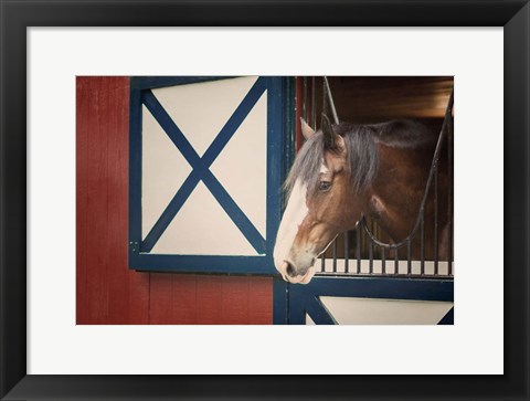 Framed Patriotic Pony I Print