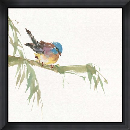 Framed Finch Print