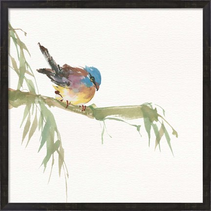 Framed Finch Print
