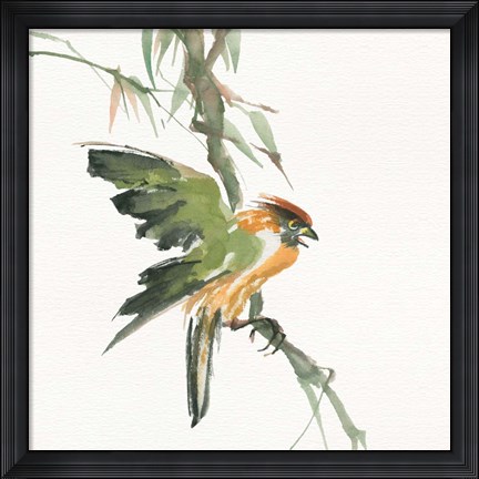 Framed Formosan Firecrest Print