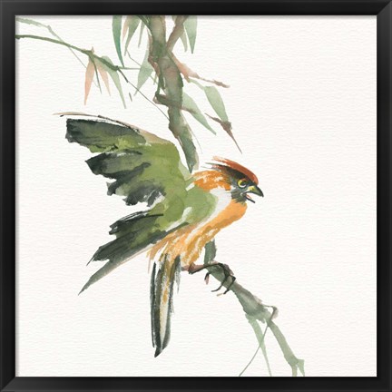Framed Formosan Firecrest Print