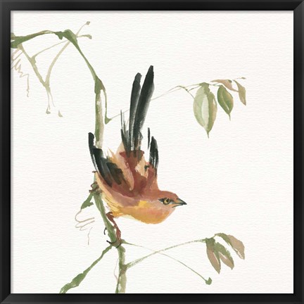 Framed Mountain Bush Warbler Print