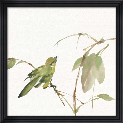 Framed Sisken Print