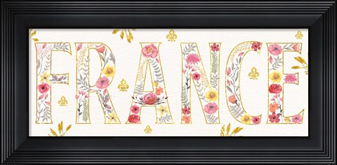 Framed Paris Blooms VI Print