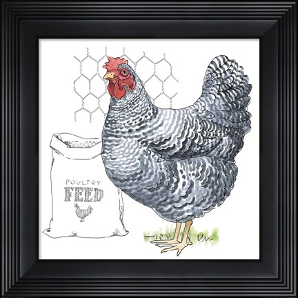 Framed Fun at the Coop III v2 Print
