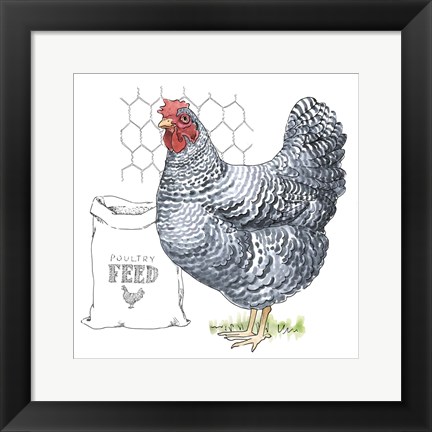 Framed Fun at the Coop III v2 Print
