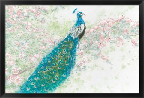 Framed Spring Peacock I Pink Flowers Print