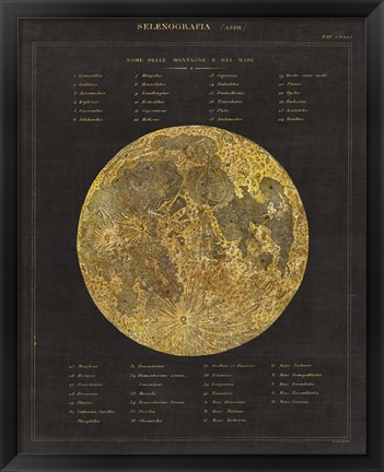 Framed Astronomical Chart I Print