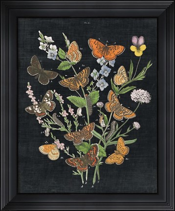 Framed Butterfly Bouquet on Black I Print
