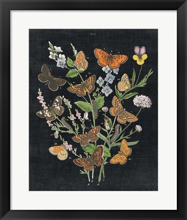 Framed Butterfly Bouquet on Black I Print