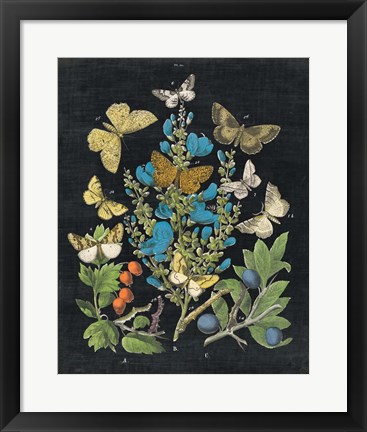 Framed Butterfly Bouquet on Black II Print