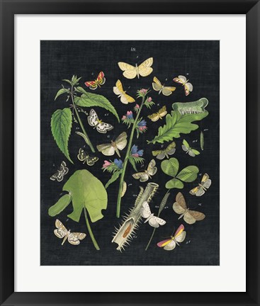 Framed Butterfly Bouquet on Black III Print