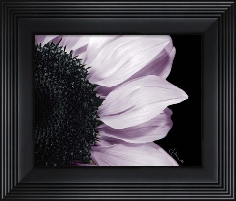 Framed Hints of Lavender Print